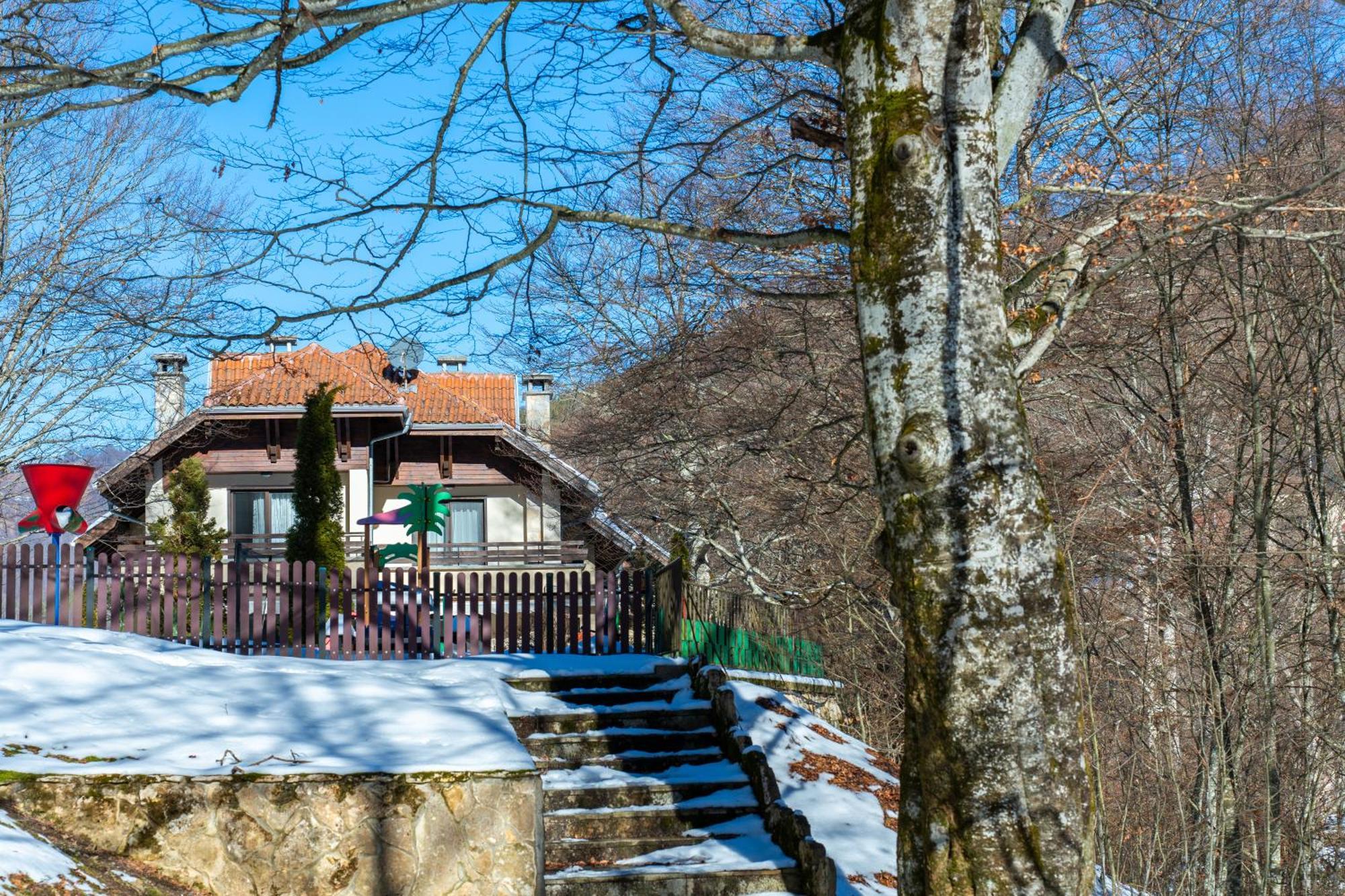 Вила 11 - Семейна Почивка В Сърцето На Балкана Ribarica Exterior foto